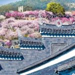 Ancient Chinese coastal city Linhai embraces new tourism boom with cultural cards