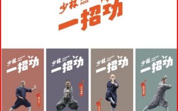 Shaolin Kung Fu Online Games set off world craze