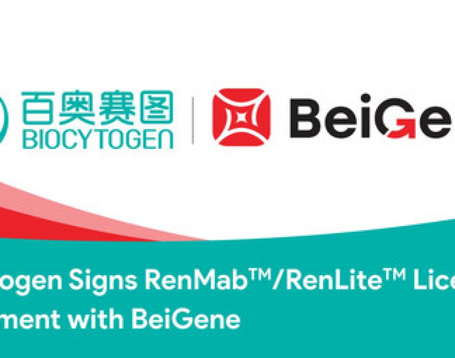 Biocytogen Signs RenMab™/RenLite™ Licensing Agreement with BeiGene