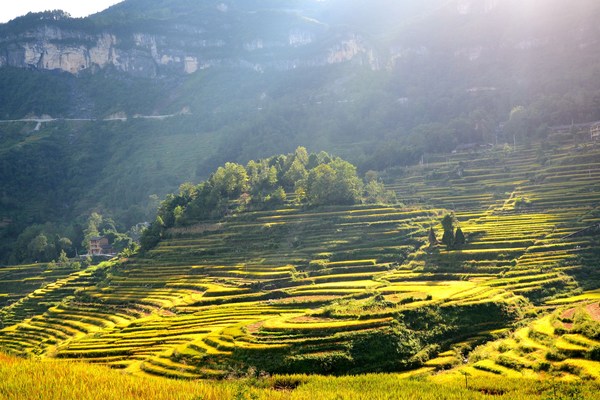 Rural reconstruction of terraces in Hejiayan Village. Rural reconstruction of terraces in Hejiayan Village.