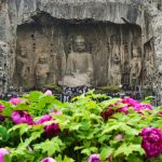 Xinhua Silk Road: Peony-themed live streaming activities kick off in C. China Henan’s Luoyang