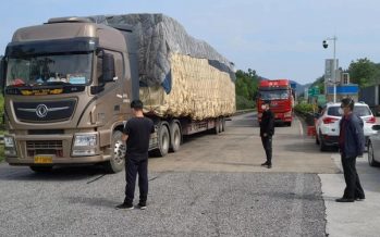 All Border Ports in Guangxi Commenced Normal Operations