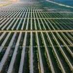 Lightsource bp unlocks East Asia with 150MW fishery solar project in Taiwan