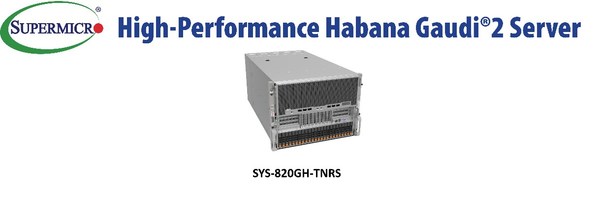 High-Performance Habana Gaudi2 Server