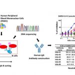 Taiwan’s AcadeMab develops groundbreaking therapy for COVID-19 Omicron variant with potent neutralizing efficacy
