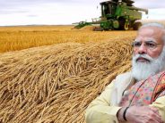ANALYSIS – Food export bans, from India to Argentina, risk fueling inflation