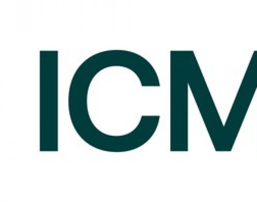 ICMM ACCELERATES RESPONSIBLE MINING AGENDA ON 20-YEAR ANNIVERSARY