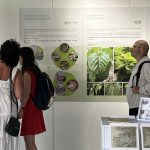 China National Silk Museum opens Silk & Silk Road Exhibition in Prague during the 26th ICOM General Conference