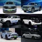 New Energy Strategy in Full Swing, GWM Unveils Multiple New Energy Models at Chengdu Motor Show 2022