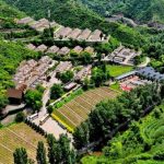 Xinhua Silk Road: N.China’s Lingqiu County takes organic agriculture as effective way to promote rural development
