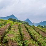 Ecological conservation features Guian’s high-quality development