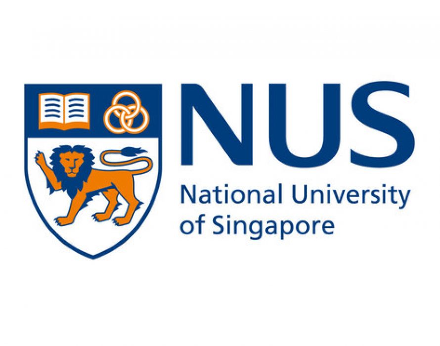 NUS Business School launches new Master of Science in Strategic Analysis and Innovation for pre-experience graduates