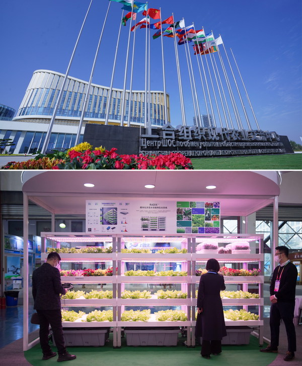 The SCO Center for Modern Agricultural Exchange and Exhibition Area of the China Yangling Agricultural Hi-Tech Fair