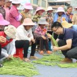 Xinhua Silk Road: Xingbin District of Guangxi’s Laibin strives to boost modern agriculture development