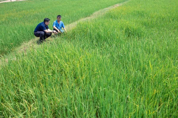 Mr Krisada Techamontreekul, MD, Dusit Foods (left), regularly visits the organic farms with his team. Mr Krisada Techamontreekul, MD, Dusit Foods (left), regularly visits the organic farms with his team.