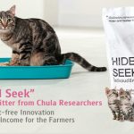 “Hide and Seek” Cassava Cat Litter from Chula Researchers: A Safe and Dust-free Innovation that Generates Income for the Farmers