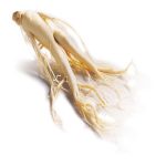 Korea’s Representative Health Food, The Origin of K-Food