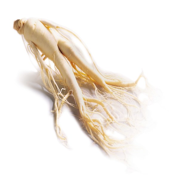 Red Ginseng