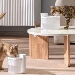Uahpet, the creator of the Wireless Cat Water Fountain, reports 500% increase in sales during Amazon’s 2022 Prime early access sale