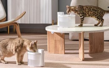 Uahpet, the creator of the Wireless Cat Water Fountain, reports 500% increase in sales during Amazon’s 2022 Prime early access sale