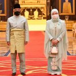 Agong grants audience to outgoing UAE ambassador