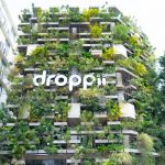 Droppii brings innovative e-commerce business solutions to the United States