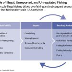 More Than 100,000 People Die Annually Across Global Fishing Sector, New Research Shows