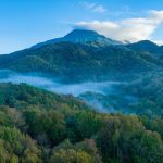 “Rainforest and You” Experience Shows Off Hainan’s Rainforest in a New Light