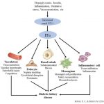 The World’s First ETa-specific Monoclonal Antibody: Gmax Biopharm’s GMA131 Approved by the US FDA for Clinical Study on (DKD) Diabetic Kidney Disease