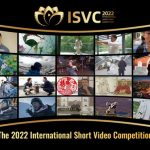 Using camera to bring the “most dazzling Chinese style” to the world