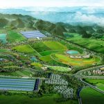 Vinamilk Invests in New “Mega” Dairy Factories to Accelerate Export Supply Capacity