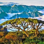 Yao Autonomous County for Healthcare Worldwide