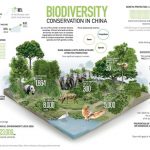 CGTN: China to continue promoting the adoption of ‘post-2020 biodiversity framework’