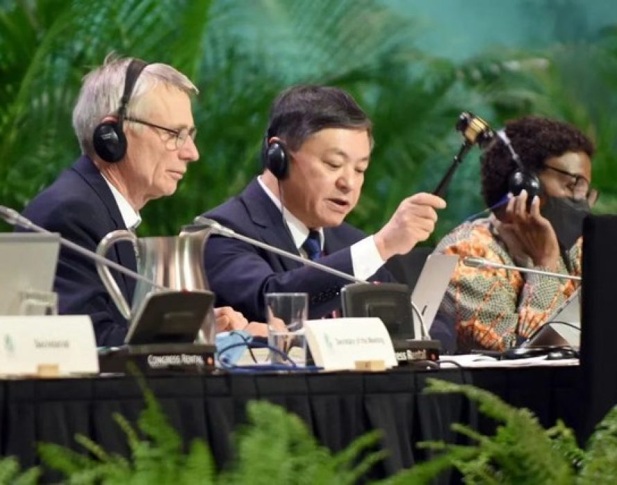 CGTN: Historic global biodiversity framework reached at COP15 with the active efforts of China