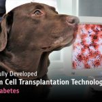 CUVET Successfully Developed the First Stem Cell Transplantation Technology to Treat Pet Diabetes