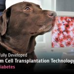 CUVET Successfully Developed the First Stem Cell Transplantation Technology to Treat Pet Diabetes