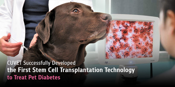 CUVET Successfully Developed the First Stem Cell Transplantation Technology to Treat Pet Diabetes