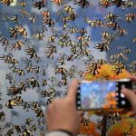 Featured products of many countries appeared at the 2022 China (Hainan) Winter Trade Fair