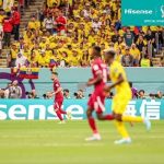 Hisense Advances Growth Strategy in the Middle East Market, Stepping Up Its Globalization Efforts