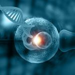In Vitro Fertilization Services Industry to be Boosted by Innovative Technologies