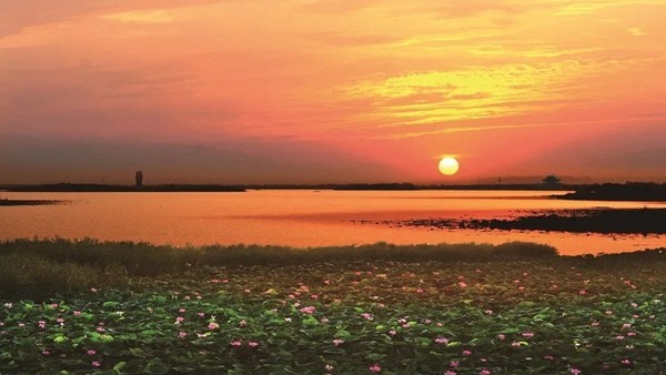 Taibai Lake Wetland at sunset. [Photo/WeChat account: jnkzwhlyjt]