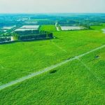 Jining becomes international wetland city