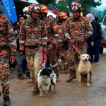 Landslide: SAR operation for remaining nine victims continues