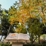 The first “Civil Code” theme park of Shandong Province debuts in Xuecheng District, Zaozhuang