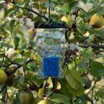 WWF and Huawei Italy Launch Project to Safeguard Biodiversity in Italian Agroecosystems