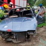 Family of four hurt as car hits wild boar