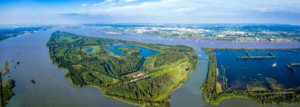 An aerial view of Nanjing Yangtze River Xinjizhou National Wetland Park in Jiangning district, Nanjing, East China's Jiangsu province.