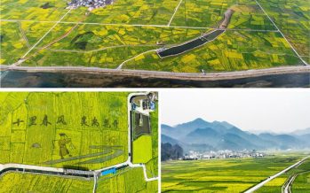 Encounter a stunning spring in the sea of rapeseed flowers in southwest China’s Guizhou Province