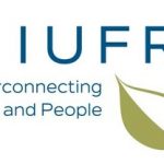 Forests Reduce Health Risks, New Global Report Confirms