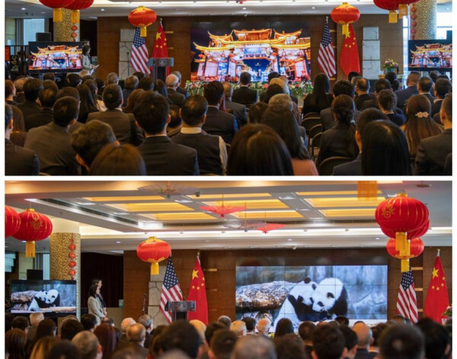 “Pandas’ Home” the Special Promotion Conference of Chengdu Culture and Tourism was held in New York–City park under the snowy mountain, happy Chengdu in the fireworks